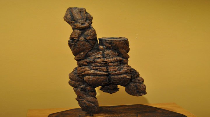 Portfolio Item
